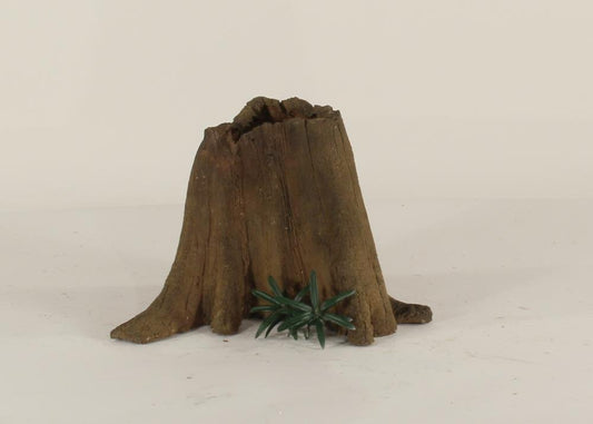 Cypress Stump-001
