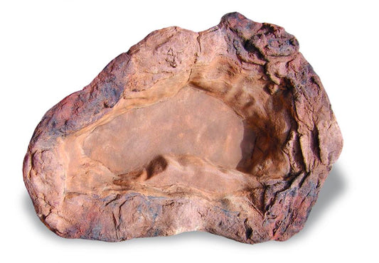 Medium Rock Pond-006