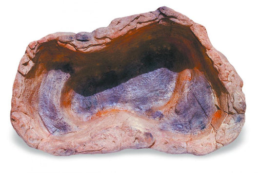 Medium Rock Pond-011