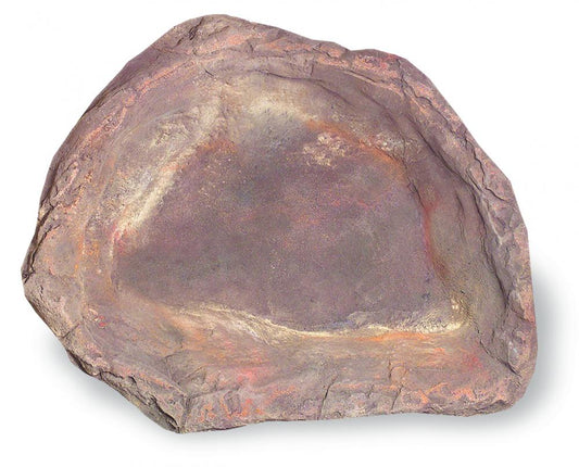 Medium Rock Pond-008
