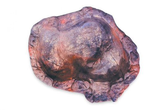 Medium Rock Pond-012 (spillway)