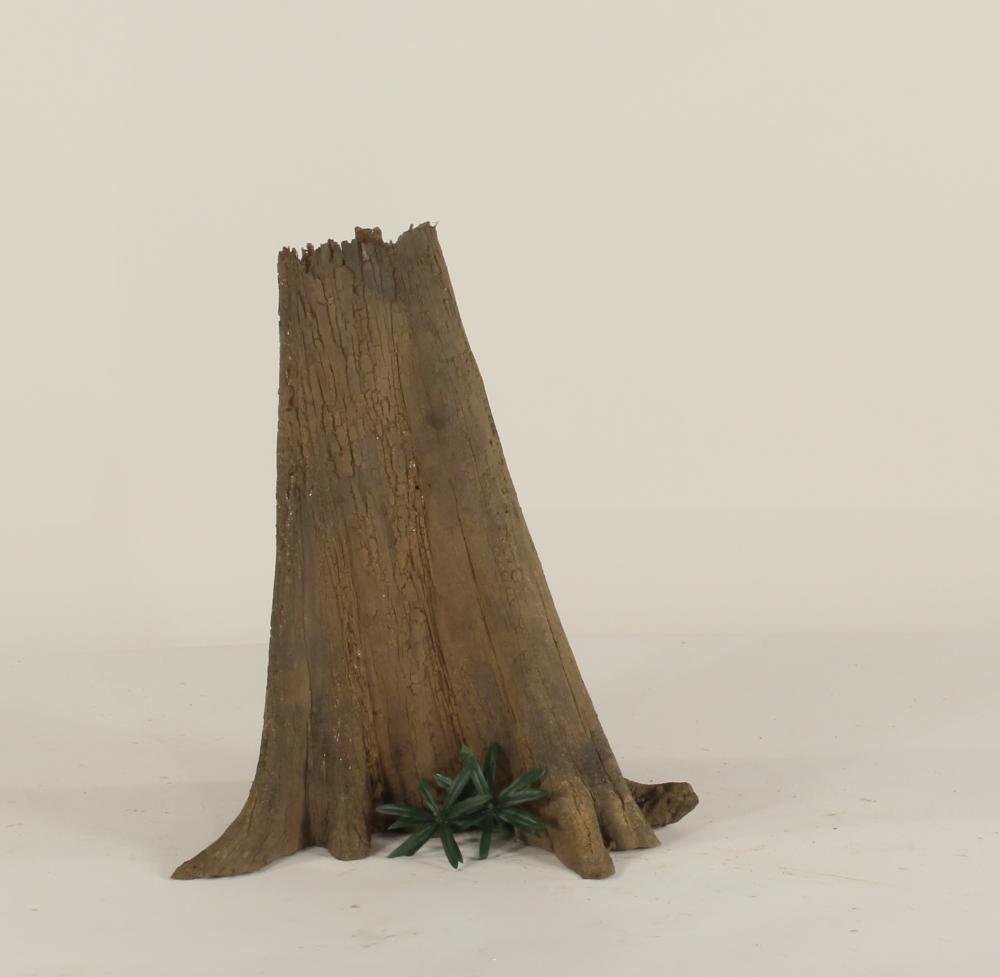 Cypress Stump-003