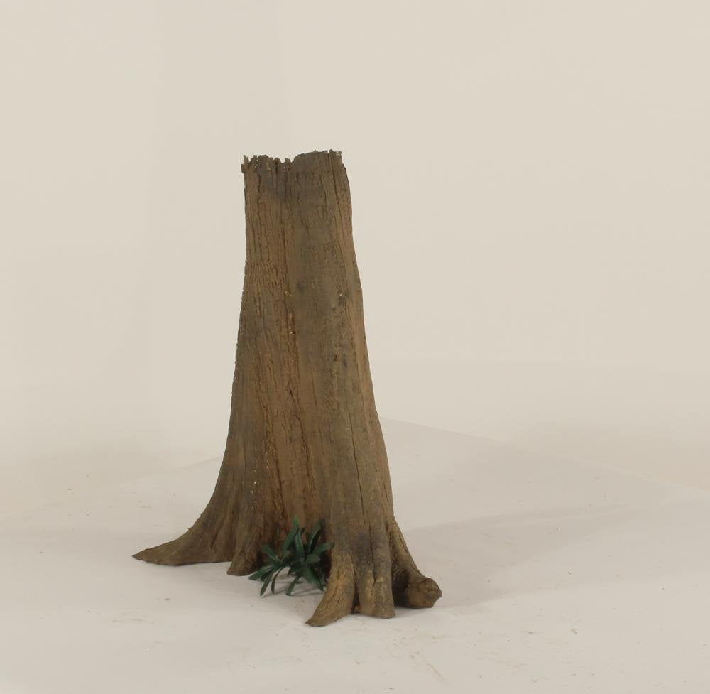 Cypress Stump-003