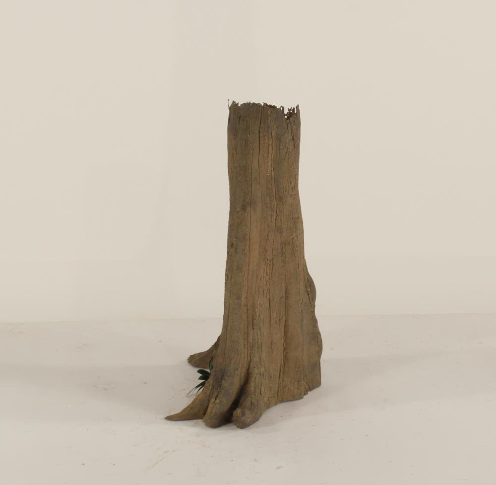 Cypress Stump-003