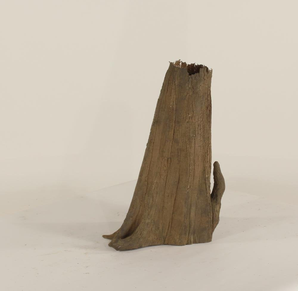 Cypress Stump-003