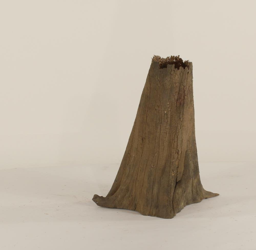 Cypress Stump-003