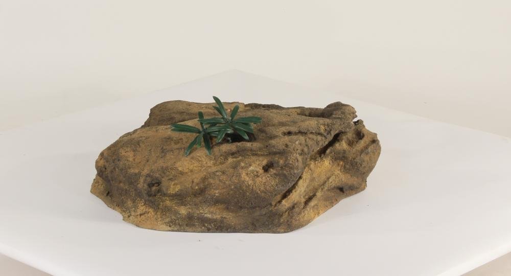 Rock-024