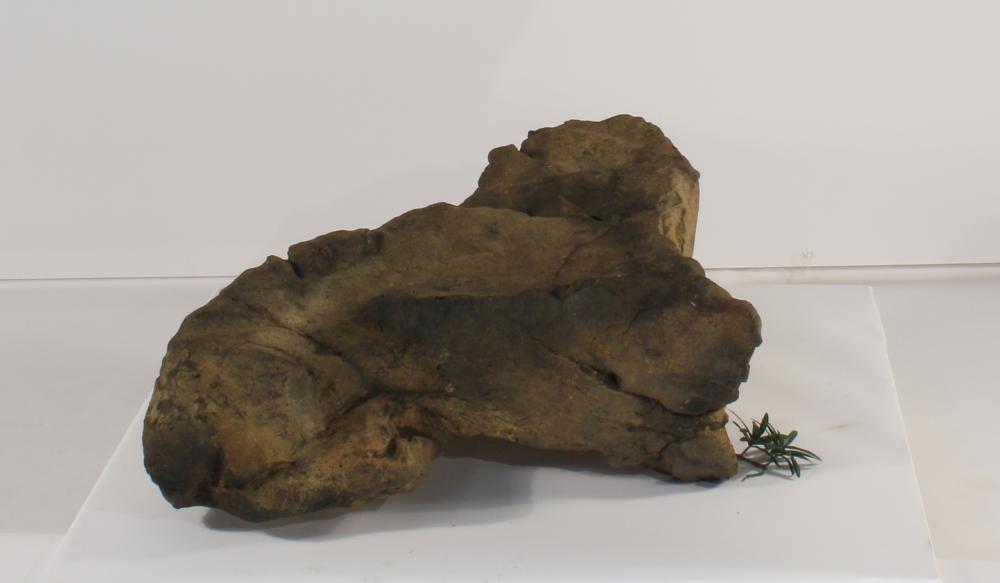 Rock-015