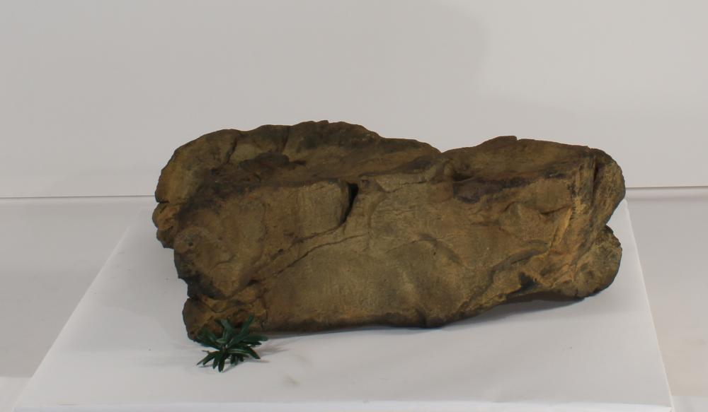 Rock-015