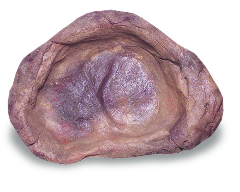Medium Rock Pond-006
