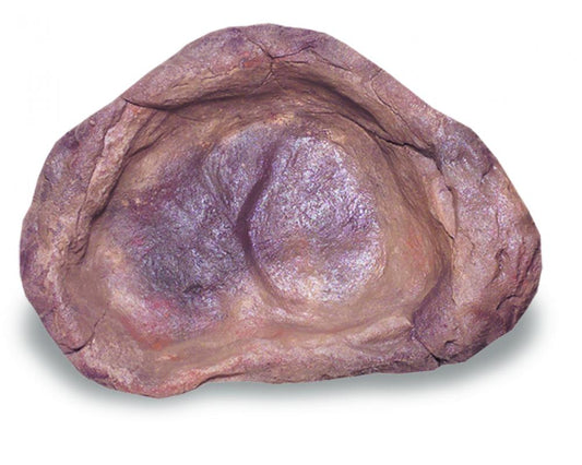 Medium Rock Pond-006