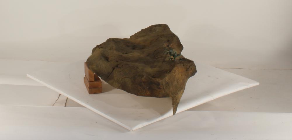 Edge Rock-020