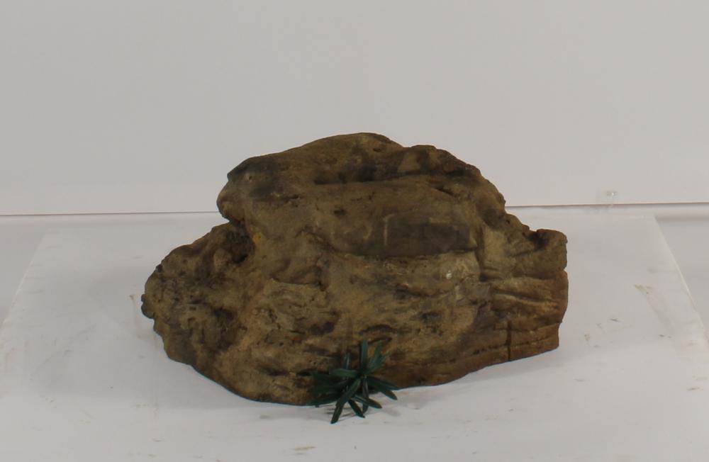 Rock-019