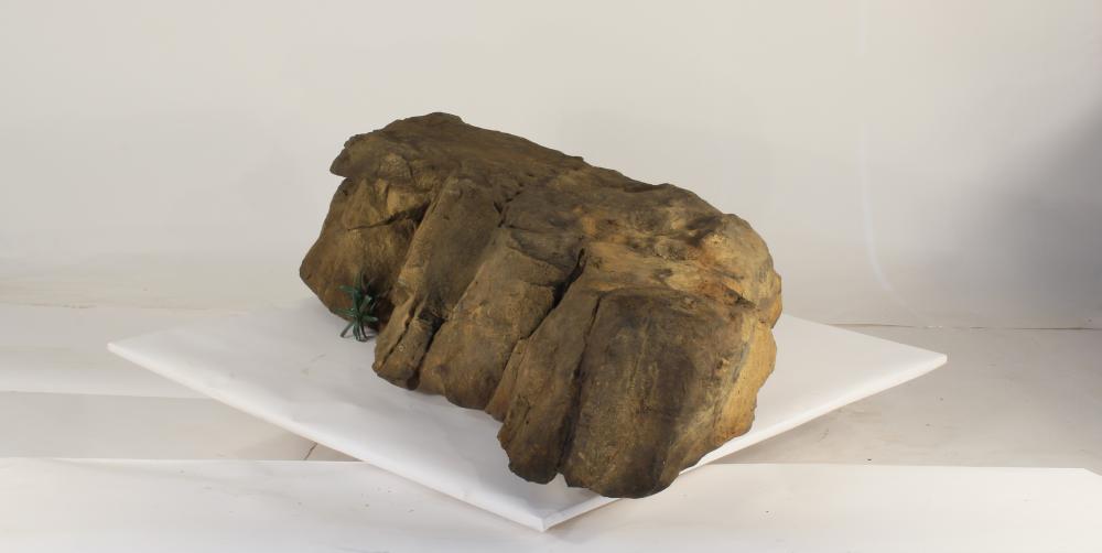 Rock-023