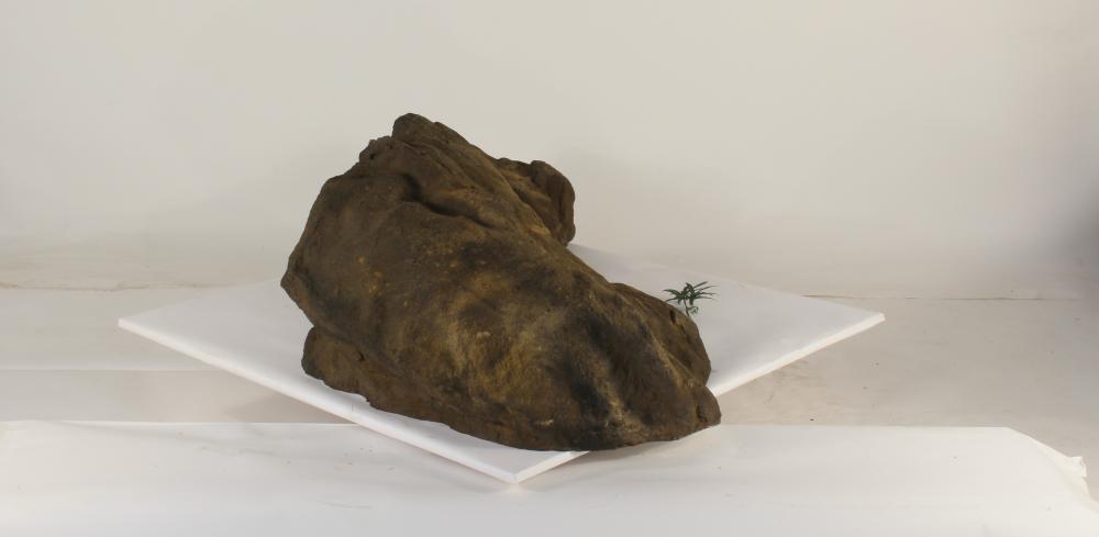 Rock-025