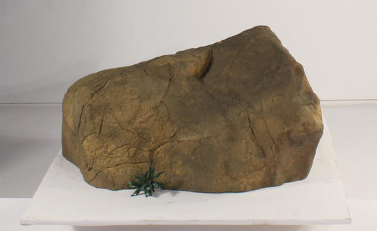 Bubbling Rock-008