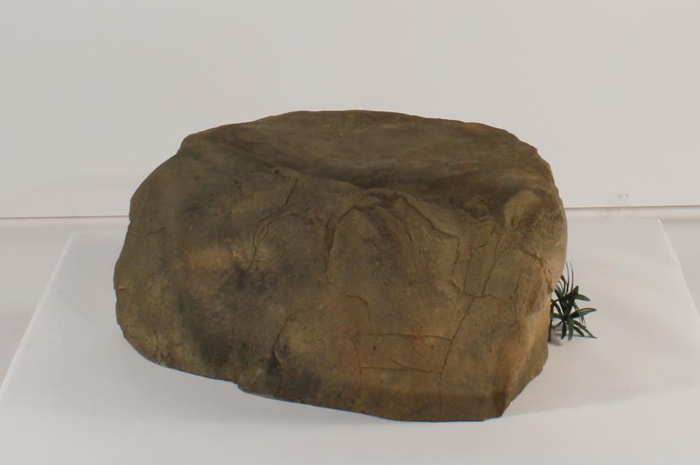 Bubbling Rock-009