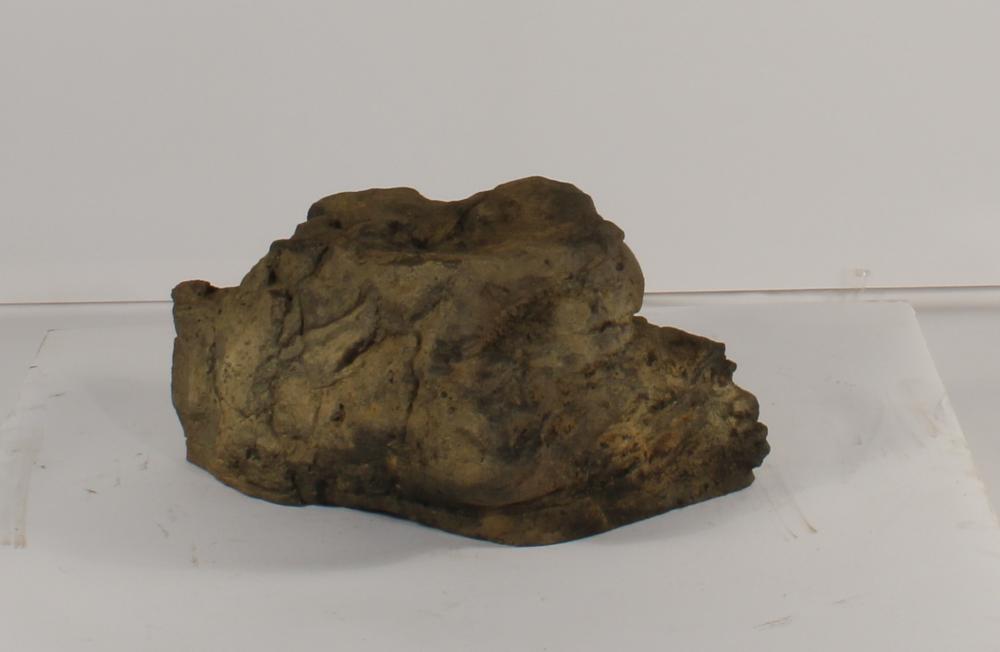 Bubbling Rock-019