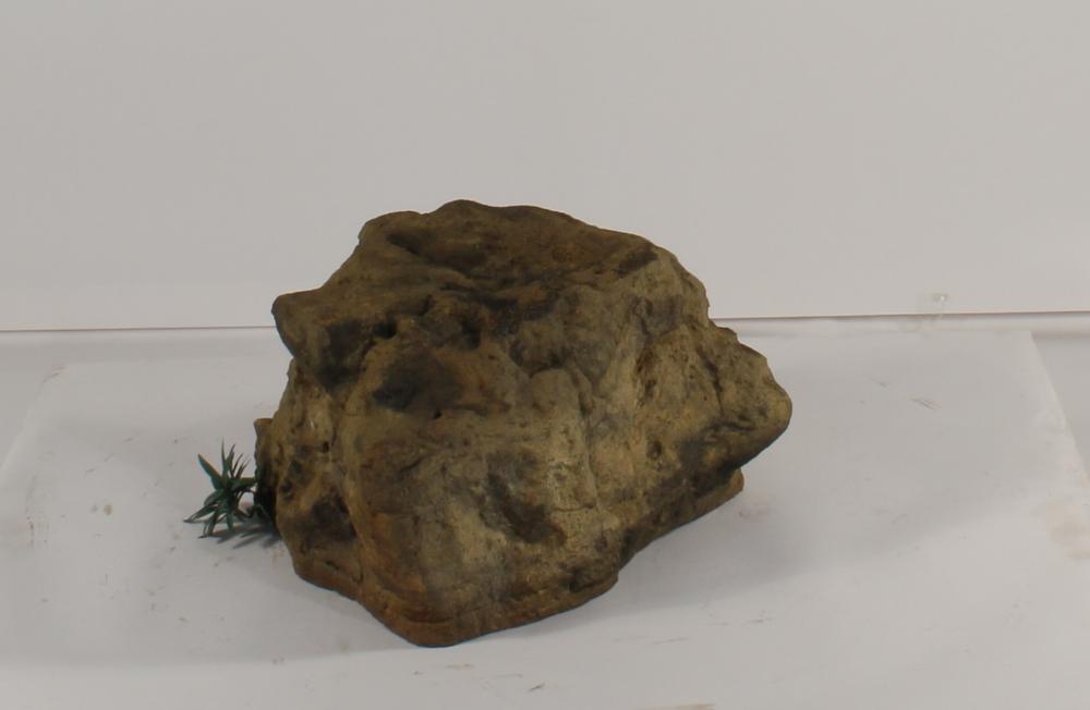 Bubbling Rock-019