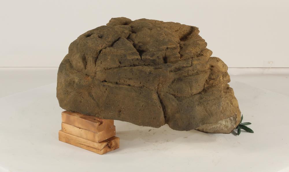 Edge Rock-001