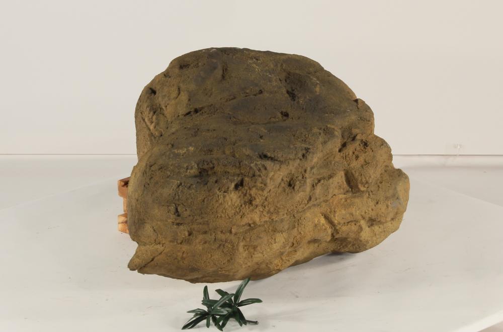 Edge Rock-004