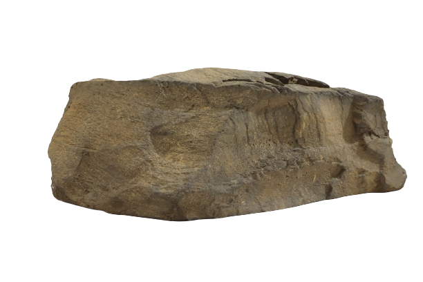 Rock Sample